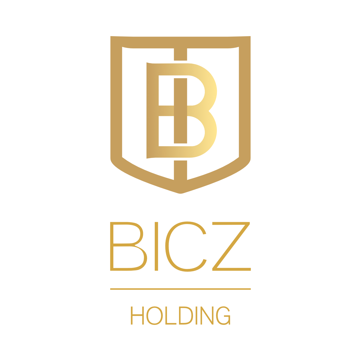 BICZ logo